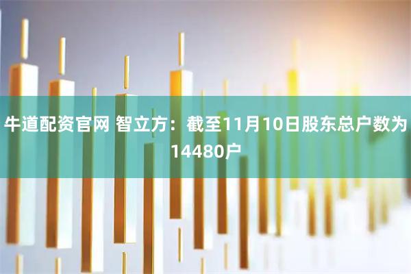 牛道配资官网 智立方：截至11月10日股东总户数为14480户