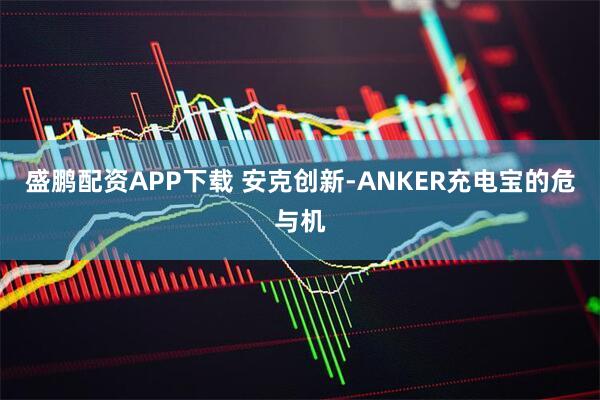 盛鹏配资APP下载 安克创新-ANKER充电宝的危与机