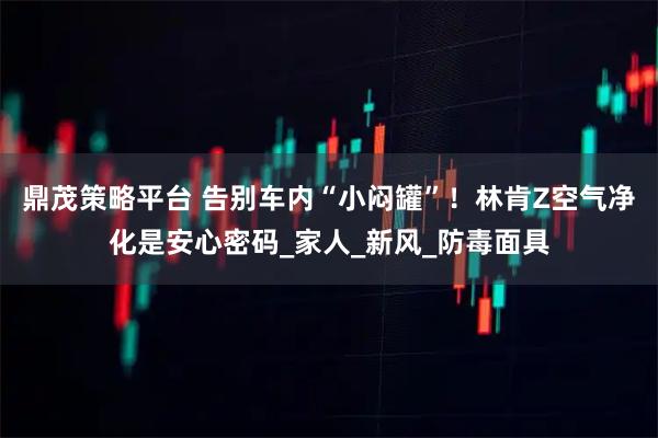 鼎茂策略平台 告别车内“小闷罐”！林肯Z空气净化是安心密码_家人_新风_防毒面具