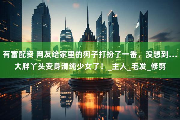 有富配资 网友给家里的狗子打扮了一番，没想到…大胖丫头变身清纯少女了！_主人_毛发_修剪