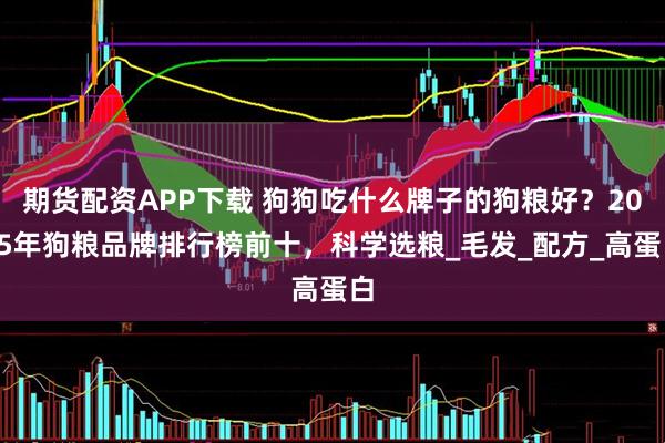 期货配资APP下载 狗狗吃什么牌子的狗粮好？2025年狗粮品牌排行榜前十，科学选粮_毛发_配方_高蛋白